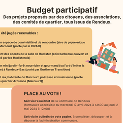 Budget participatif - Projets citoyens