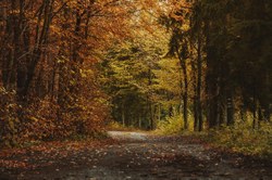 Création d'une ZIT - suppression d'un chemin public & création d'un nouveau chemin public