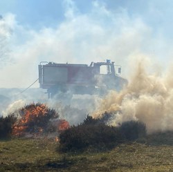 Fortes chaleurs et risque d'incendie : arrêtés du Gouverneur