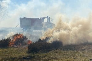 Illustration de l'actualité - cliquer pour agrandir