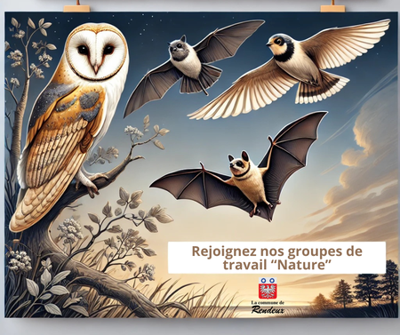 Illustration de l'actualité - cliquer pour agrandir
