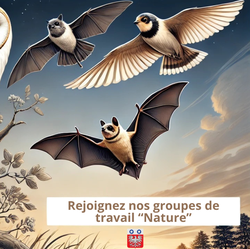 Rejoignez les groupes de travail "Nature"