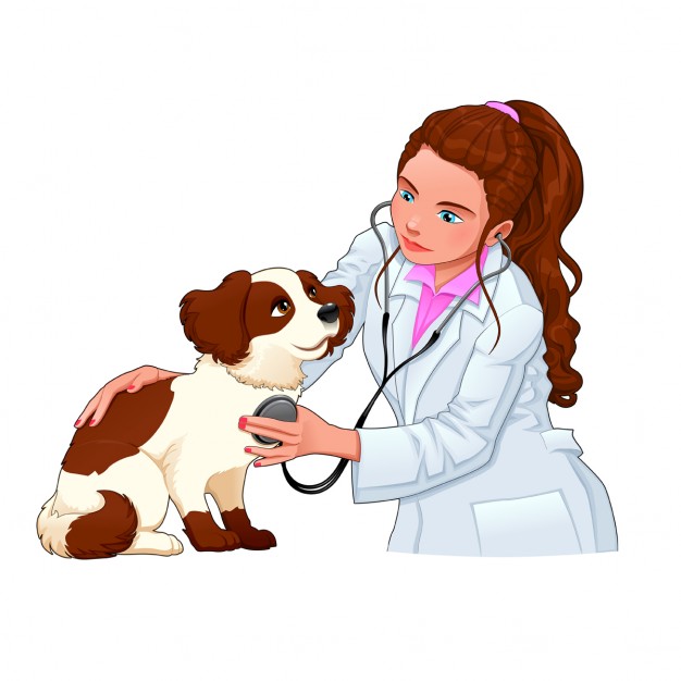 veterinaire avec un chien de bande dessinee et illustration vectorielle drole personnages isoles 1196 293