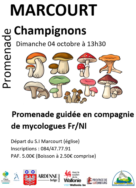 Capture d'écran 2026 09 21 165332