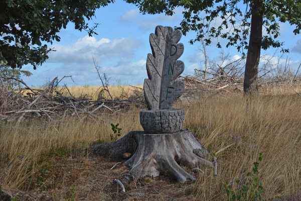 laidprangeleux trone (2)