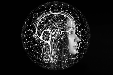 Illustration de l'actualité - cliquer pour agrandir