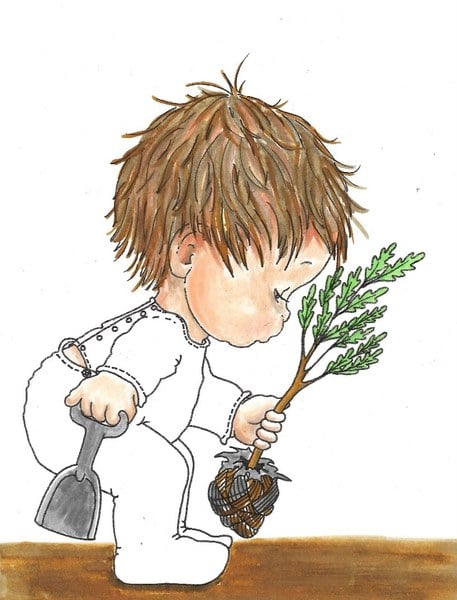 naissance,arbre.1
